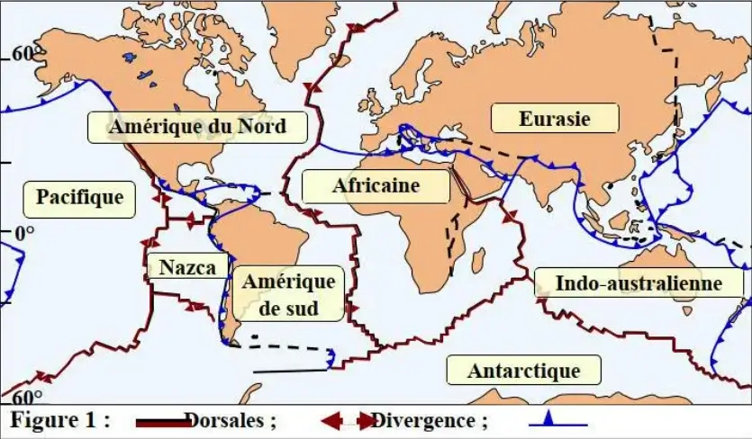 Les chaînes de montagnes récentes et leurs relations avec la tectonique des plaques